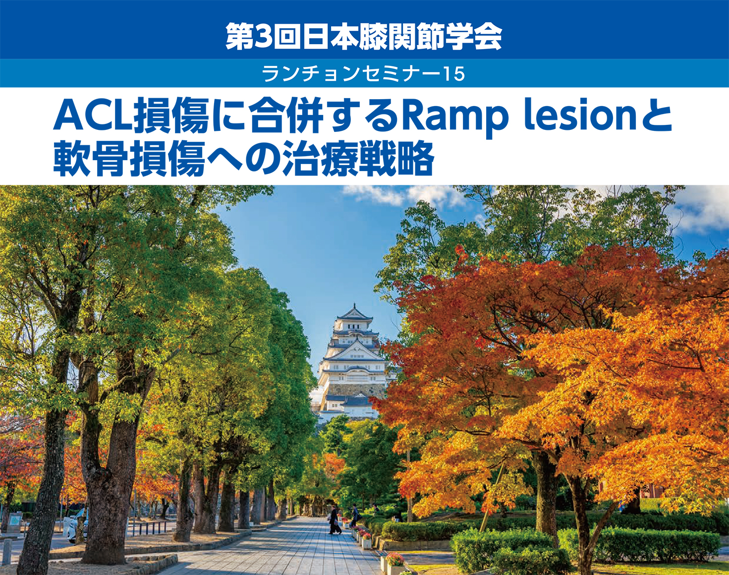 第3回日本膝関節学会 ランチョンセミナー15